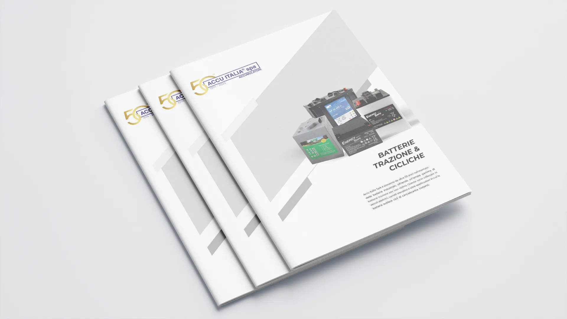 accu italia catalogo trazione e cicliche